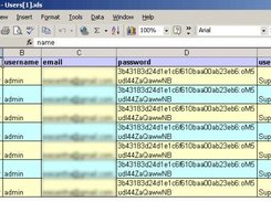 Excel Export