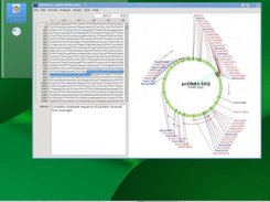DNAStrider 1.57.1 runs on OpenSUSE 11.1 KDE4