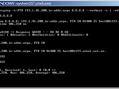 Dns Ping PTR query