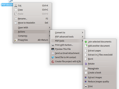 DoAllWithPDF_servicemenu Screenshot 3