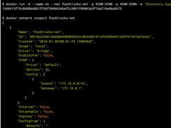 Docker Curriculum Screenshot 1