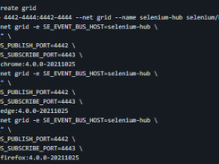 Docker images for Selenium Grid Server Screenshot 1
