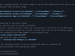 Docker images for Selenium Grid Server Screenshot 2