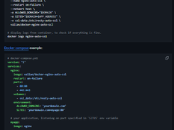 docker-nginx-auto-ssl Screenshot 1
