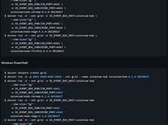 DockerSelenium Screenshot 1