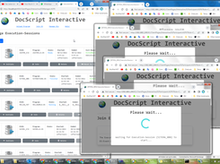 Web-based system permitting distributed multi-client Execution-Sessions, DSInteractive