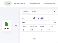 DocuPipe Screenshot 1