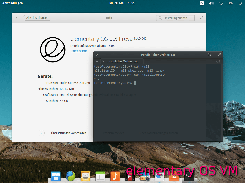 elementary OS VM