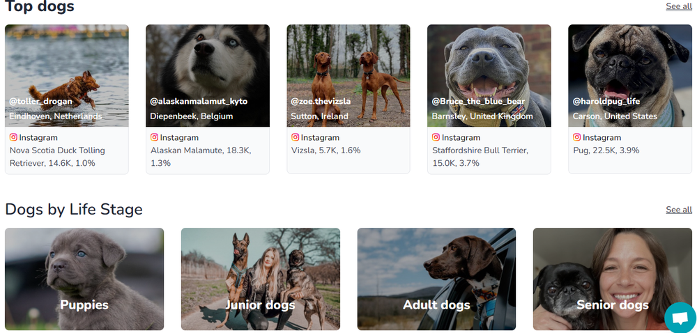 Dogfluence Screenshot 1