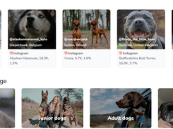 Dogfluence Screenshot 1