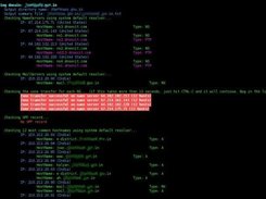 Domain Analyzer Security Tool in action (1)