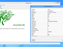 DomainMath IDE Screenshot 2