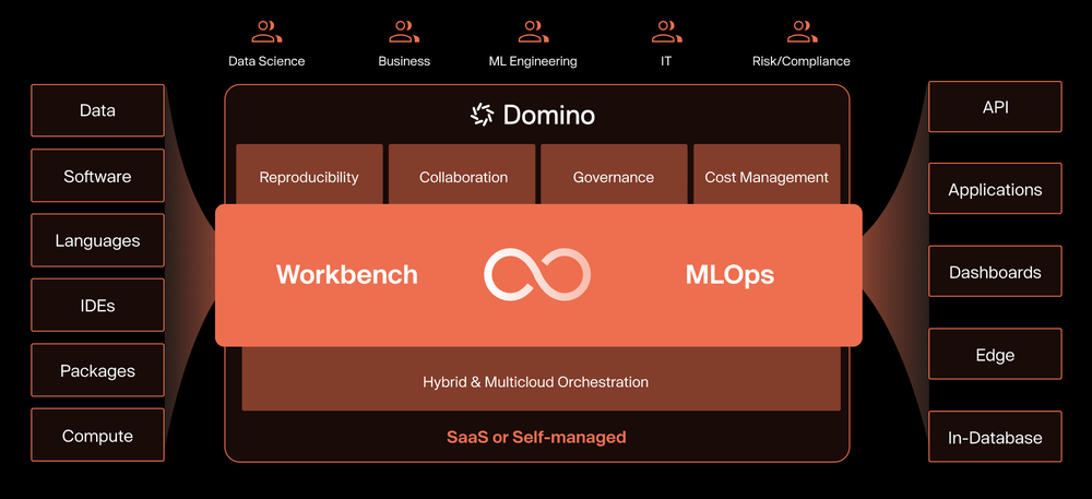 Domino Enterprise AI Platform Screenshot 1