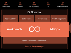 Domino Enterprise AI Platform Screenshot 1