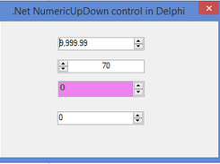 NumericUpDown Control