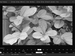 Greyscale filter applied