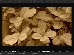 High quality with sepia filter applied