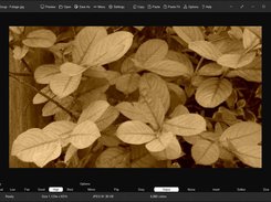 High quality with sepia filter applied
