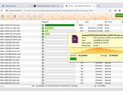 DownThemAll! Screenshot 1