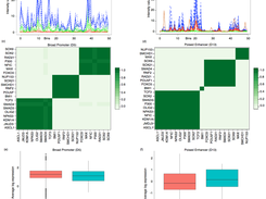 Transcriptional modules in chromatin states