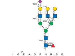 Example Structure