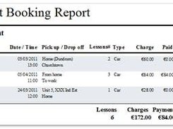 Driving School Professional Screenshot 1