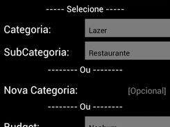 Nova Despesa