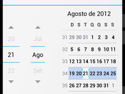Nova Despesa Data opcional