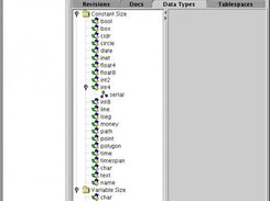 Druid's datatype panel