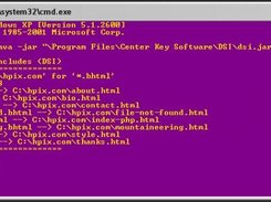 Example Usage of DSI (Windows)