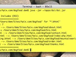 Example Usage of DSI (Mac OS X)