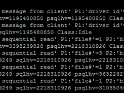 dsm2 Screenshot 1