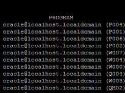 dsm2 Screenshot 2