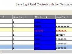 General view of the grid
