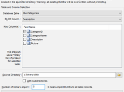 DTM Data Generator Screenshot 1