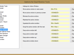 DMT: SwapScreen hotkeys for active window