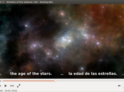 DualSub in MPlayer, Ubuntu 13.10