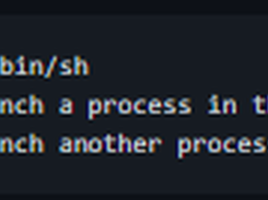 dumb-init Screenshot 2
