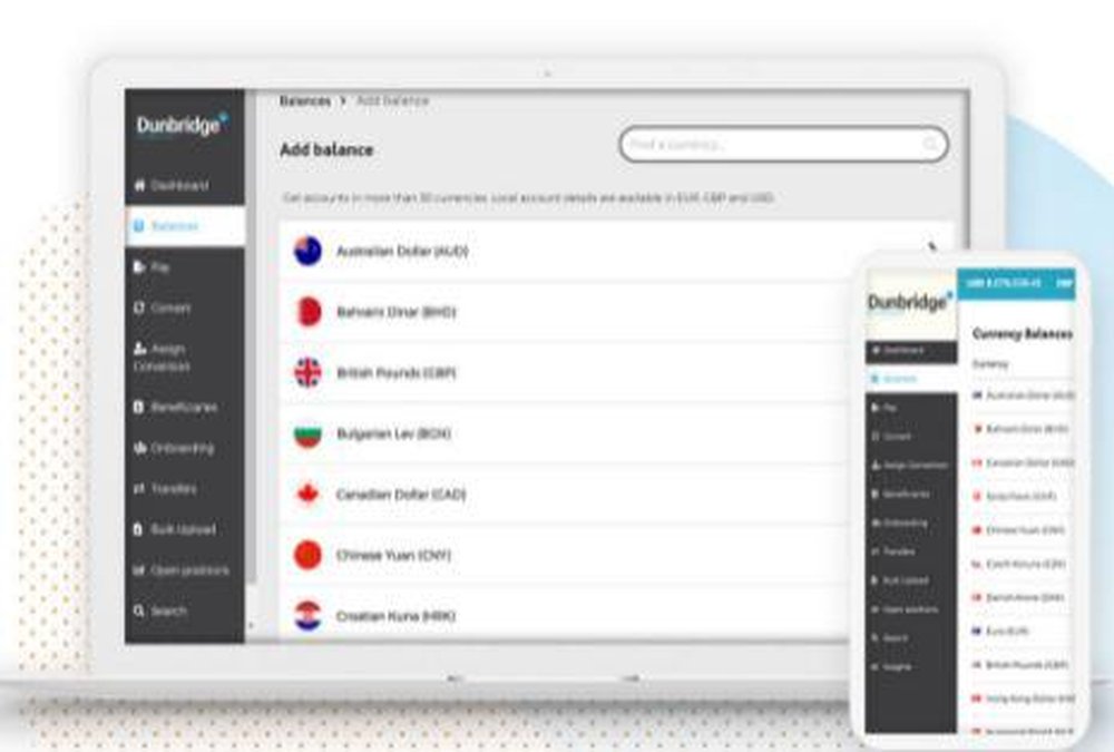 Dunbridge Financial Screenshot 1