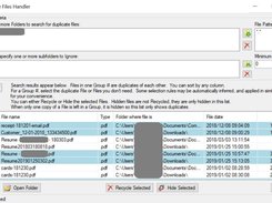 Duplicate Files Handler