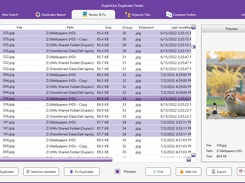 DupInOut Duplicate Finder