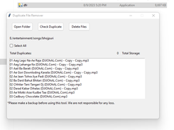 DuplicaErase Screenshot 2