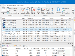 Duplicate File Detective Screenshot 4