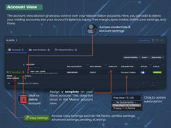 Accounts View