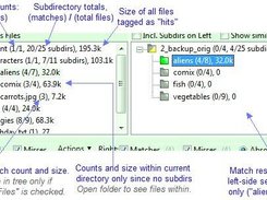 Directory Statistics