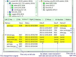 File-by-File Comparison