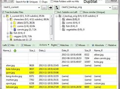 Highlighting unique files in a backup directory