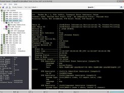 Transport Stream Decoder (SI/PSI tables)