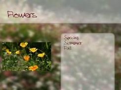 DVD Menu example