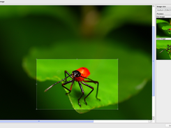 Medialibrary crop